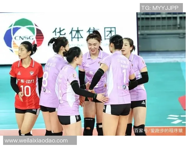 深圳排球队实力强劲荣登全国排球实力排行榜第六名引发热议
