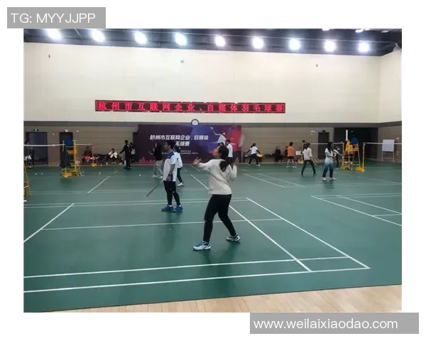 杭州羽毛球队比赛经验分析与数据解读探讨