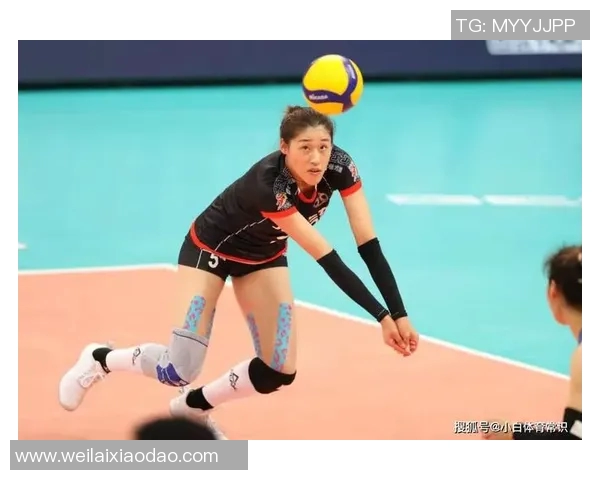深度对话：赵丽如何在排球赛场上书写属于自己的传奇人生