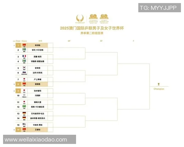 广州乒乓球队在杯赛中的技术表现分析与未来发展展望