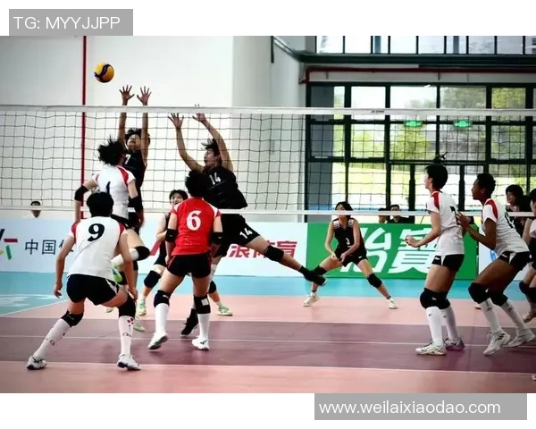上海排球队的训练与比赛状态揭秘助力排球巨献的背后故事 上海排球队的训练与比赛状态揭秘助力排球巨献的背后故事