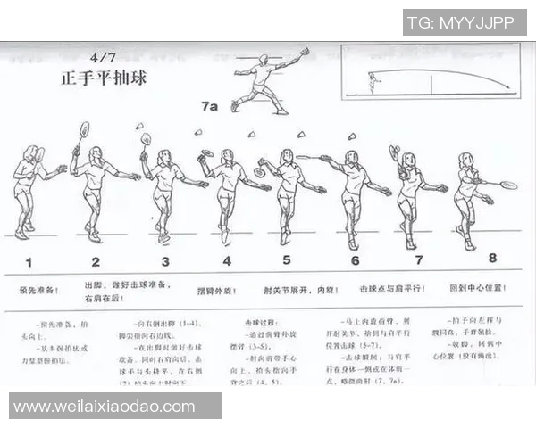 上海羽毛球队在奥运会上的战术表现分析与点评 上海羽毛球队在奥运会上的战术表现分析与点评