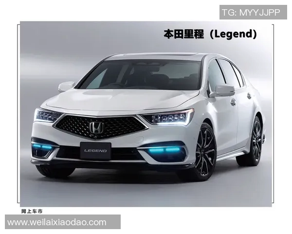 南京排球队的转型之路与未来发展趋势深度解析