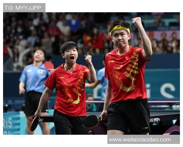 乒乓球的魅力:深入探讨深圳乒乓球队的团队协作与精神风貌 乒乓球的魅力:深入探讨深圳乒乓球队的团队协作与精神风貌