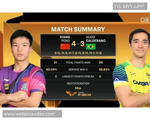 北京乒乓球队在总决赛积分榜中以57分稳居第一名展现强劲实力 北京乒乓球队在总决赛积分榜中以57分稳居第一名展现强劲实力