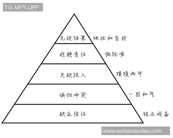 武汉羽毛球队战术解析：聚焦技术与团队协作的完美结合