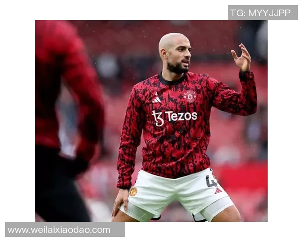 现役足球明星的辉煌成就与未来展望分析