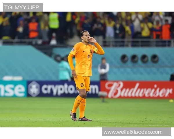 荷兰足球明星现状解析及未来发展展望 荷兰足球明星现状解析及未来发展展望