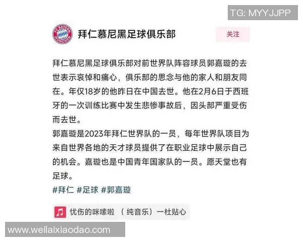 足球明星意外踢球误伤孩子引发热议家长呼吁加强安全措施 足球明星意外踢球误伤孩子引发热议家长呼吁加强安全措施