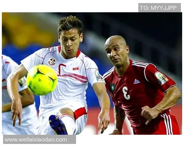 2018年突尼斯足球明星的辉煌表现与影响力分析