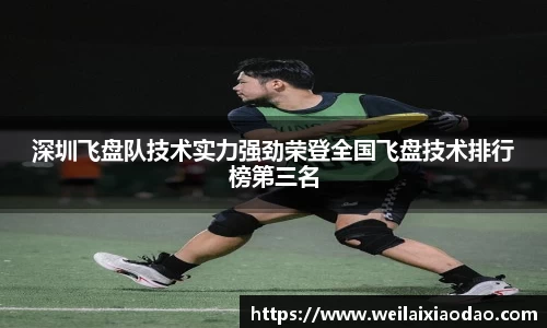 深圳飞盘队技术实力强劲荣登全国飞盘技术排行榜第三名