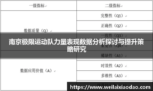 南京极限运动队力量表现数据分析探讨与提升策略研究