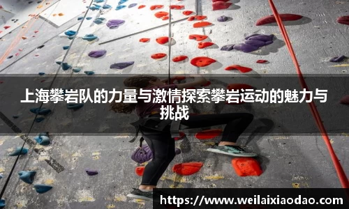 上海攀岩队的力量与激情探索攀岩运动的魅力与挑战