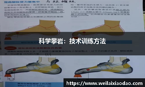 欧宝官网