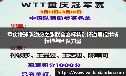 重庆排球队逆袭之路联合会杯特别报道展现拼搏精神与团队力量