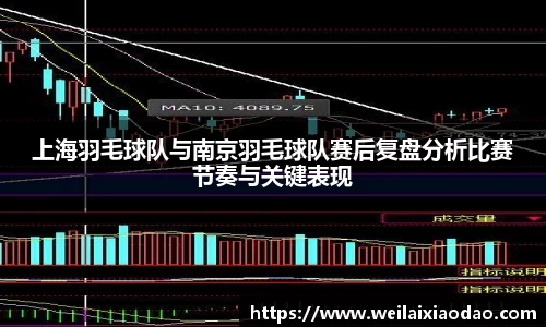 上海羽毛球队与南京羽毛球队赛后复盘分析比赛节奏与关键表现