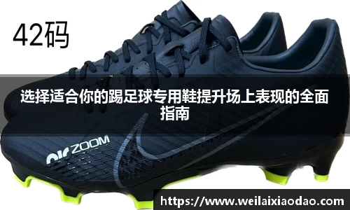 彩神vll追求健康